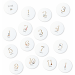 Echo Baby Milestone Cards - Nautical
