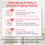 Pigeon Softouch Nipple Blister Pack (1 Pc) (SS) - Image 2