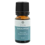 Zen Oil - Eucalyptus